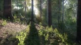 Kingdom Come: Deliverance and its near photorealistic forest