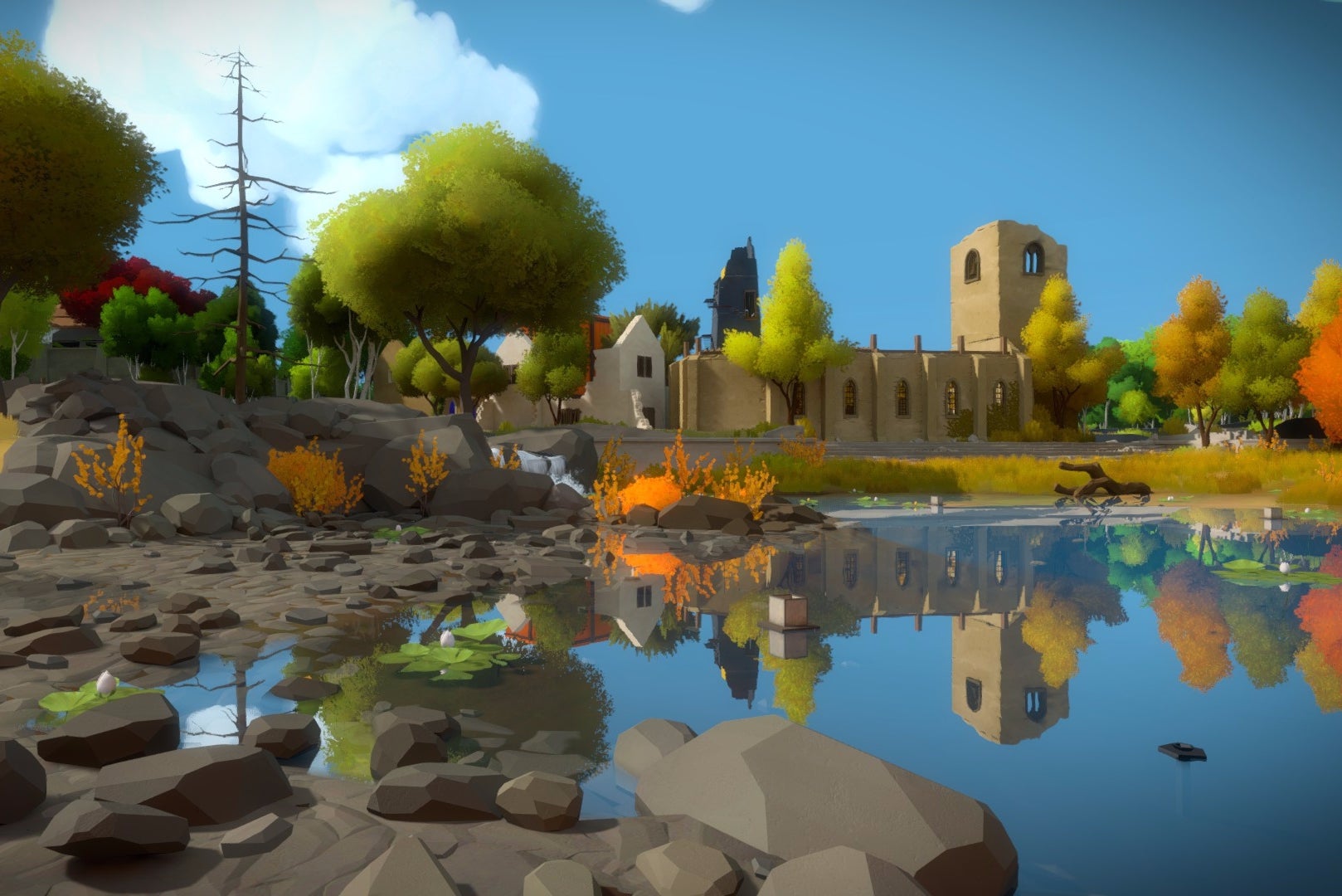 The witness hot sale nintendo switch