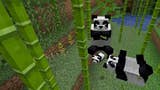 Here's everything Minecraft dev Mojang announced at Minecon Earth 2018 (including the pandas)