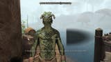 Skywind's back - and Morrowind has never looked better