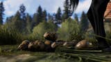 Rust revamps farming system, adds horse poop