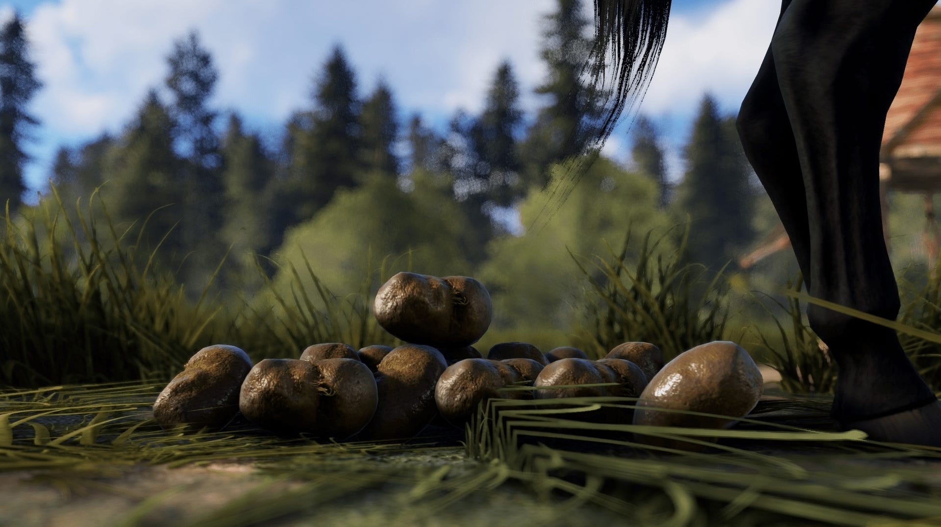 Rust revamps farming system, adds horse poop | Eurogamer.net