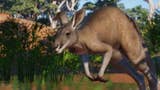 Planet Zoo is off to Australia next week in its latest paid DLC
