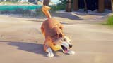 Sea of Thieves is getting adorable pet dogs in September's update