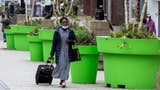 Walsall council criticised for enormous "Super Mario" plant pots