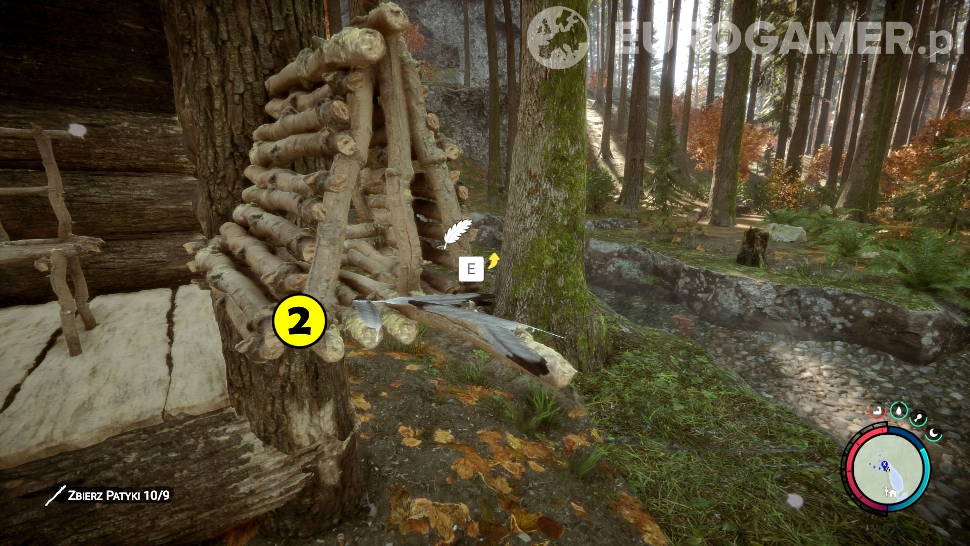 Sons of the Forest - łuk: jak zdobyć | Eurogamer.pl