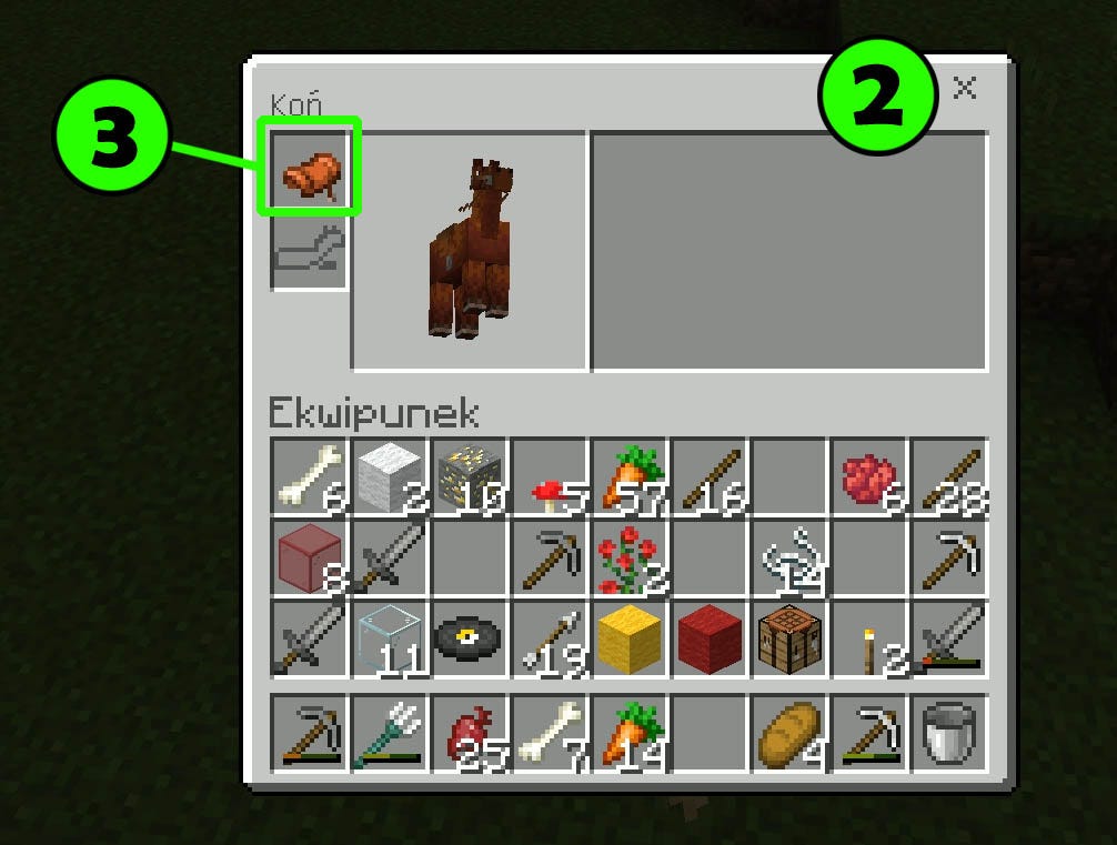 Jak Zejść Z Konia W Minecraft
