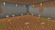 Minecraft - uprawa grzybów: borowiki, muchomory