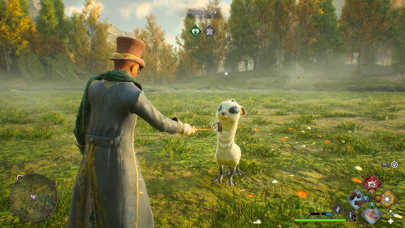 Hogwarts Legacy Ausrüstung verbessern, Eigenschaften freischalten und ändern Eurogamer.de