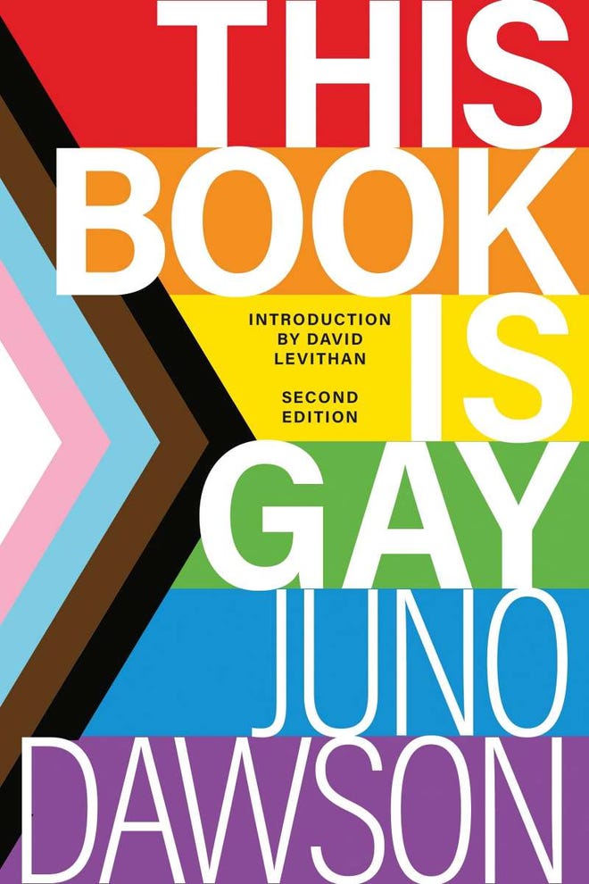 Cover of This Book is Gay featuring a pride flag