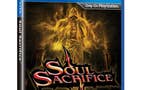 Soul Sacrifice launch boosts Japanese Vita sales above 3DS