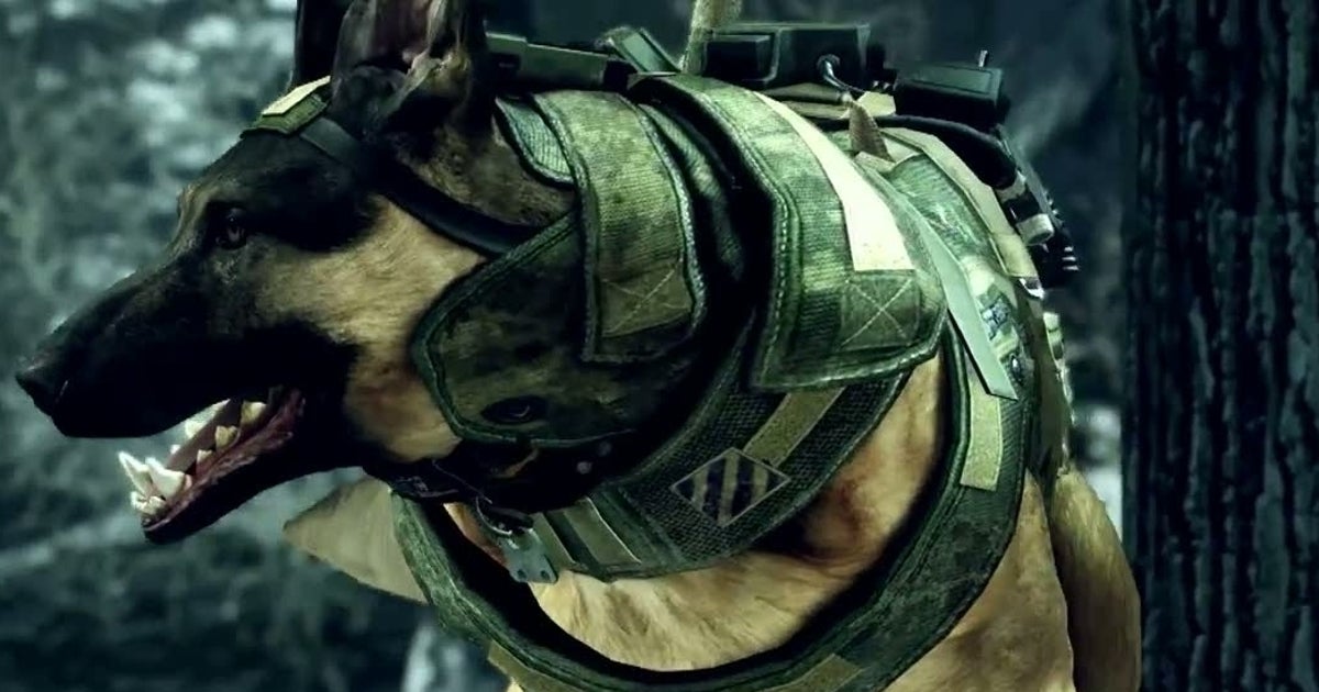 Watch this space on Call of Duty: Ghosts dedicated servers | Eurogamer.net