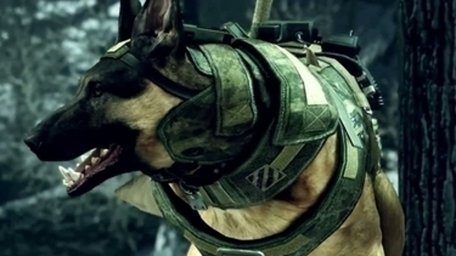 Cod Dog Xbox One Call Of Duty Ghosts Dog