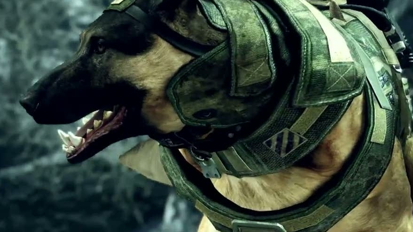 Cod Mw1 Dogs Call Of Duty Ghosts Dog Dies