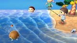 Animal Crossing: New Leaf's development team had an even gender split