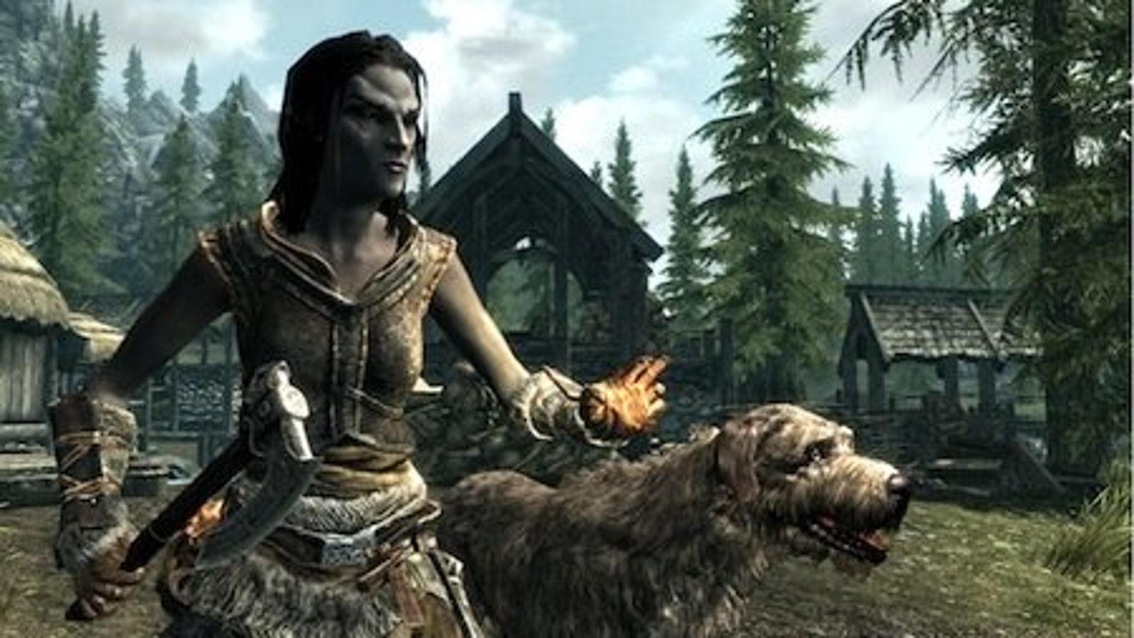 Skyrim collections