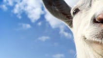 Goat Simulator - review
