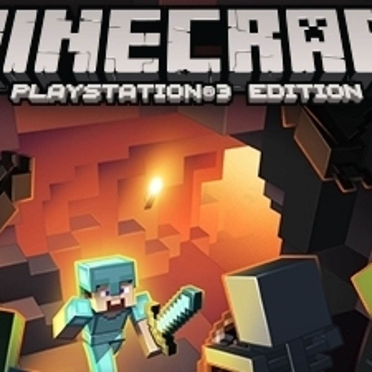 Minecraft Game Disc