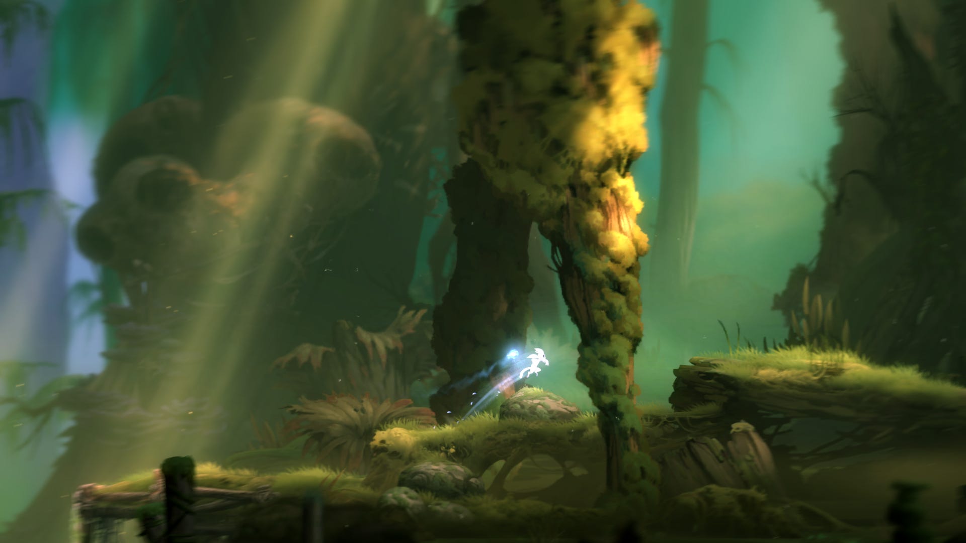 Ori and the Blind Forest Ori and the Blind Forest