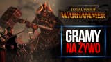 LIVE: Gramy w Total War Warhammer