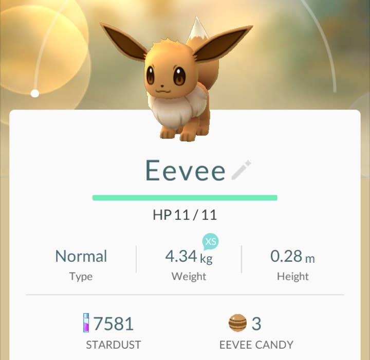 Pokémon Go: How to evolve Eevee into Sylveon - Polygon