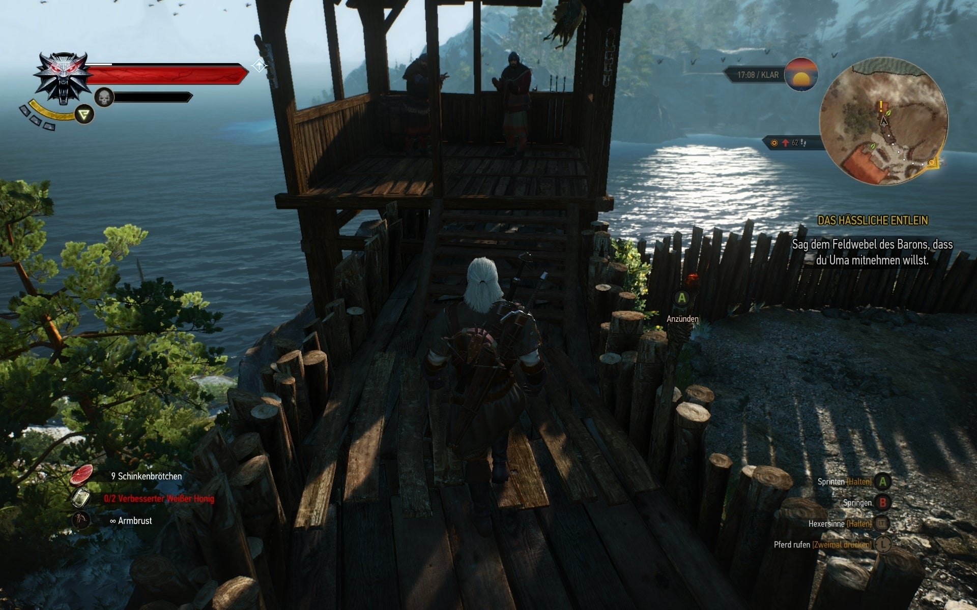 The Witcher 3 Meister Der Arena