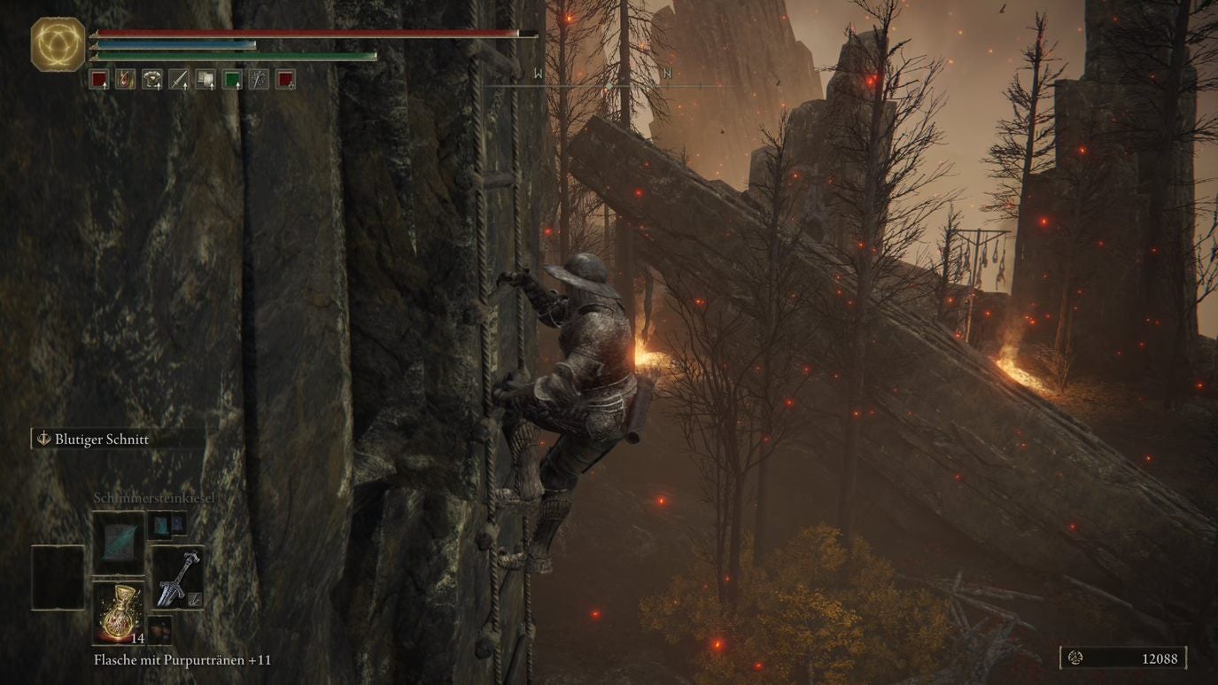 Grab Des Helden Von Gelmir Elden Ring Elden Ring: Grab des Helden von Gelmir, Boss: Heldenhafter Roter Wolf