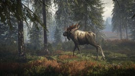 Time for a stroll! theHunter: Call of the Wild released