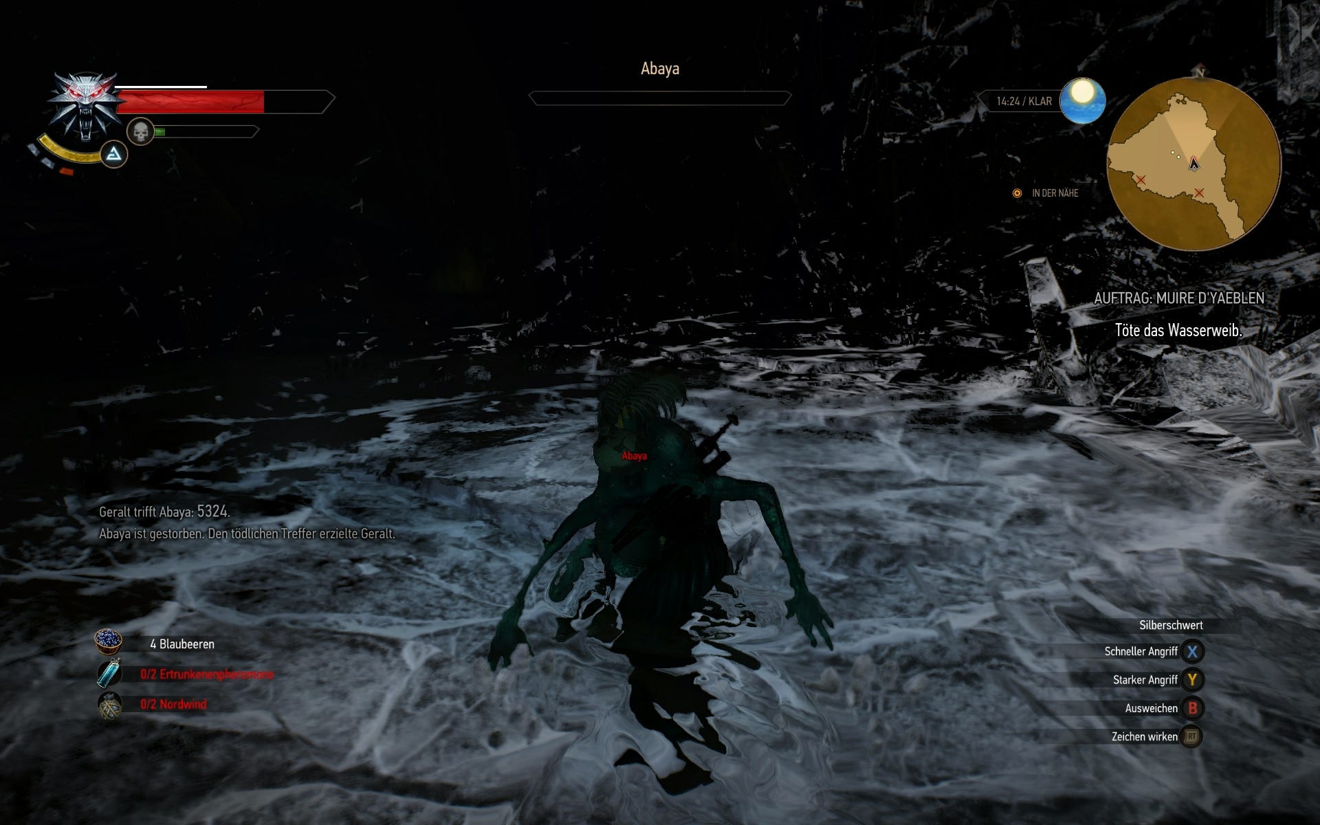 The Witcher 3: Hexerauftrag Skellige - Muire D’yaeblen | Eurogamer.de