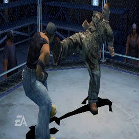 EA Sports, please bring back Def Jam Fight for NY!