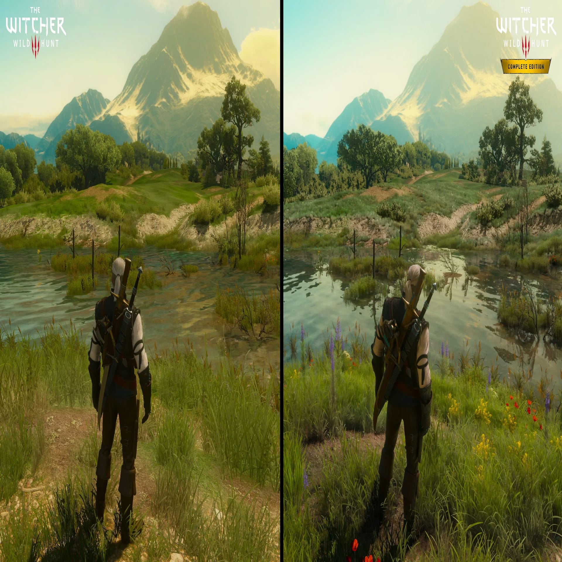 The Witcher 3 Next Gen - DirectX 11 vs DirectX 12 - Benchmark Comparison 