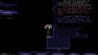 Playing roguelikes when you can’t see