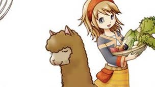 Image for Harvest Moon: The Tale of Two Towns 3DS may get Euro release