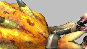 Image for Monster Hunter 3 Ultimate's hammer weapon detailed