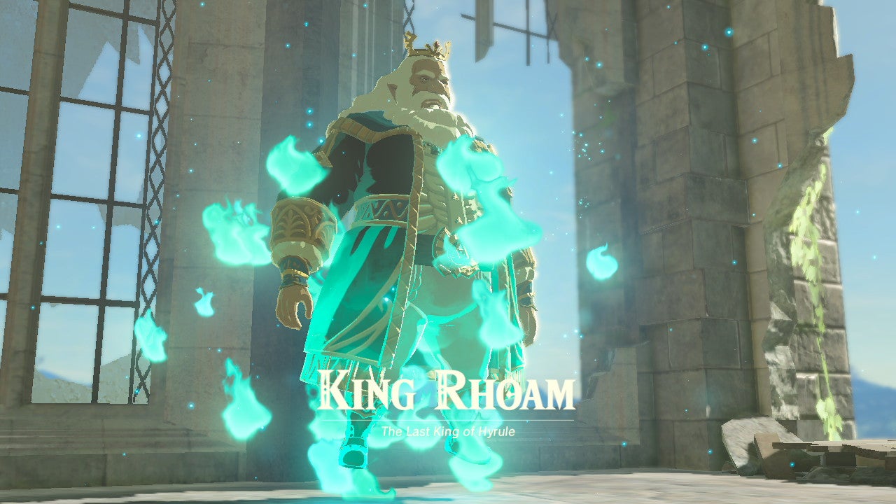 Breath of the Wild How to Get the Paraglider VG247