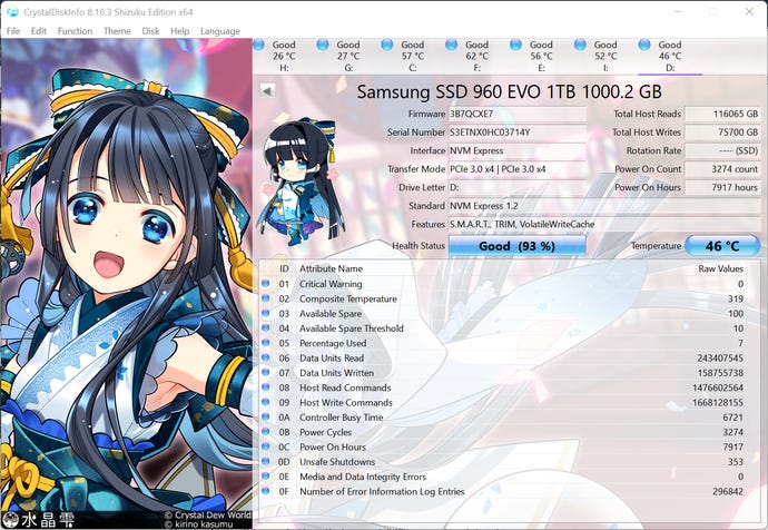 a screenshot of drive info, complete with anime girl theme for some reason