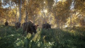 theHunter: Call of the Wild starts stalking in February