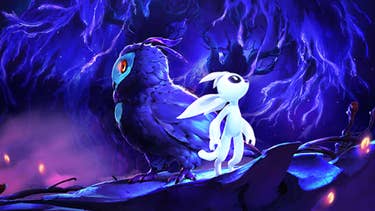 Ori And The Will of the Wisps Switch Analysis: Inside An 'Impossible' Port