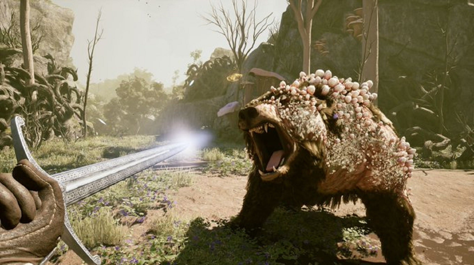 Avowed gameplay trailer revealed at the Xbox Showcase, coming 2024 - Vimarsana News