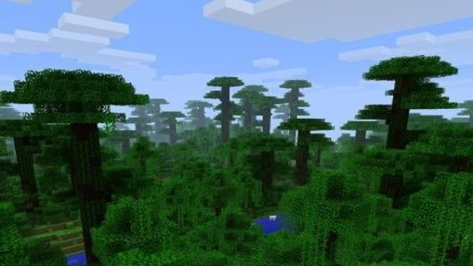 jungle biome minecraft