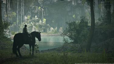 Image for Shadow of the Colossus PS4: Complete Tech Analysis
