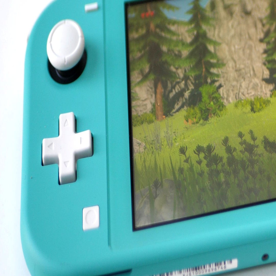 Nintendo Switch Lite review: a small console, a big change - Polygon