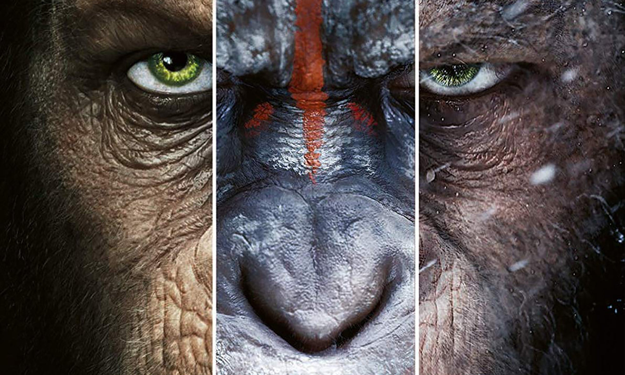 Poll: What is the best Planet of the Apes movie? Poll: What is the best Planet of the Apes movie?