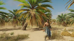 Basim stands in front of a slanted palm tree in Palm Grove in Assassin's Creed Mirage