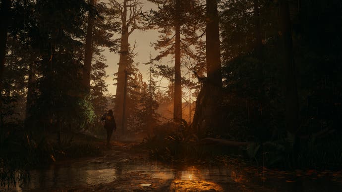 Alan Wake 2 screenshot showing more of the pine forest at sunset