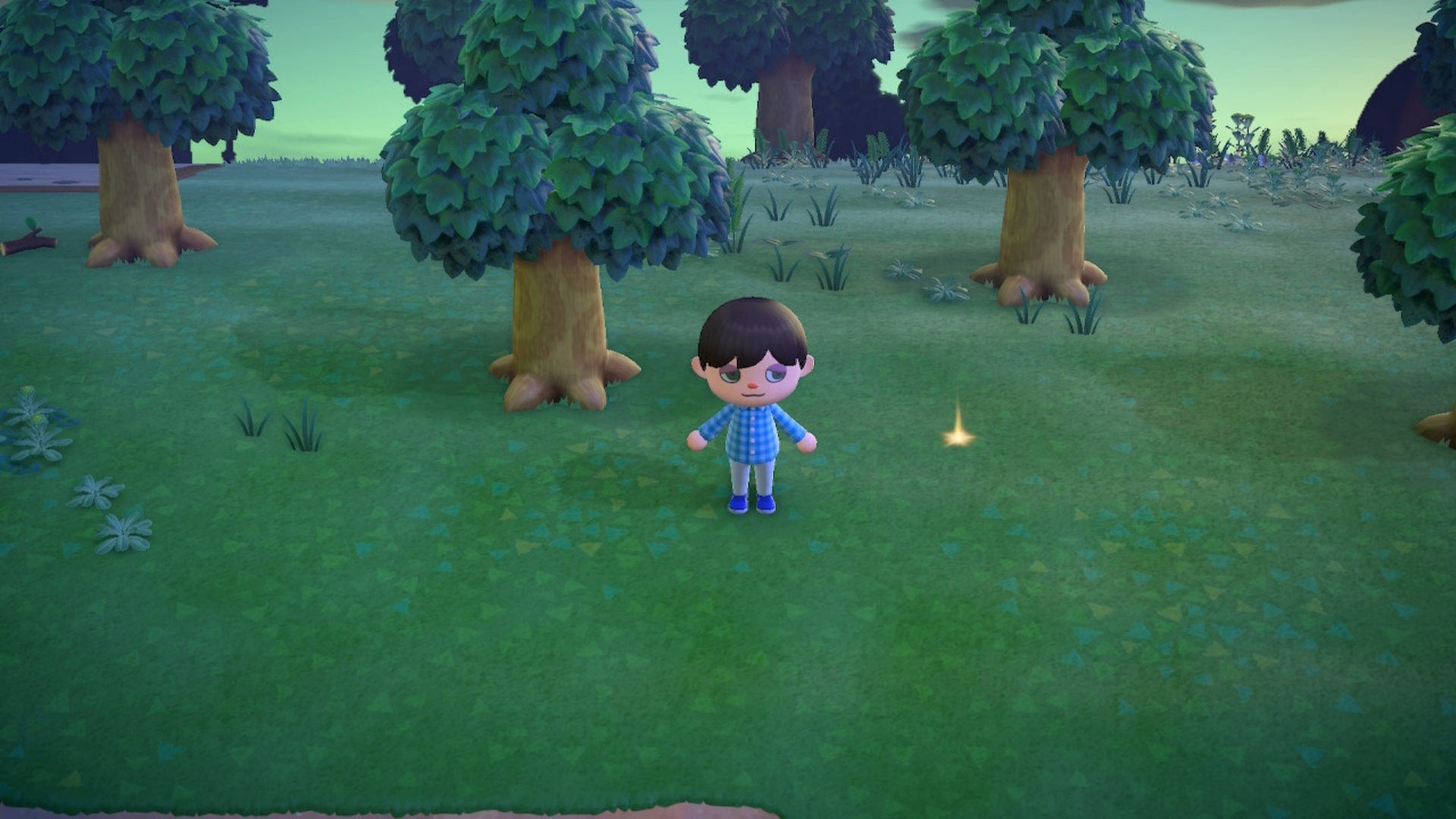 Animal Crossing New Horizons What Are the Glowing Spots on the Ground