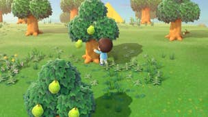 Image for Animal Crossing New Horizons: How to Plant Flowers and Trees