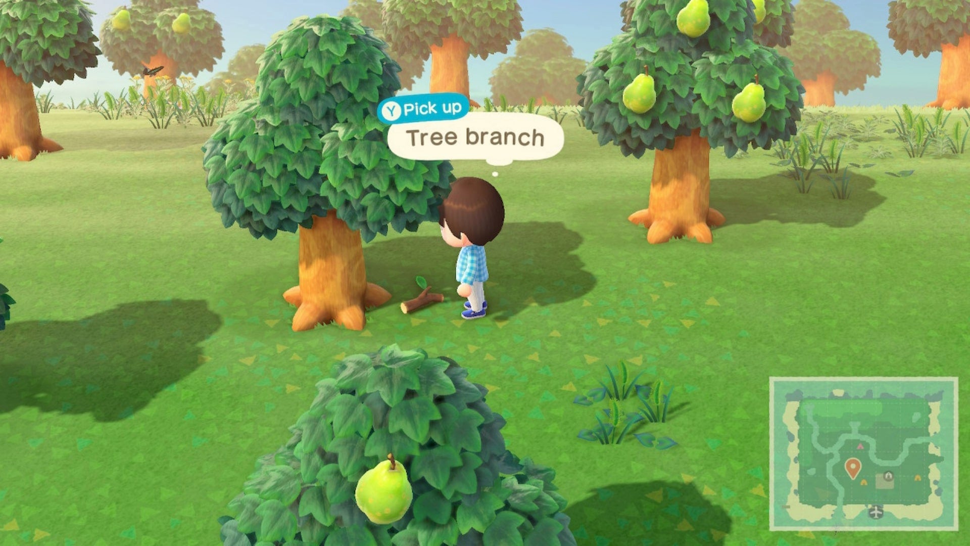 Animal Crossing New Horizons Where to Get Tree Branches VG247