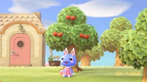 Image for What's The Best Animal Crossing Fruit?