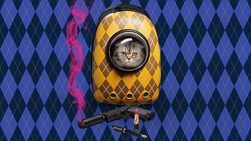 Argylle: How Matthew Vaughn wound up casting his family cat for in his Henry Cavill spy movie